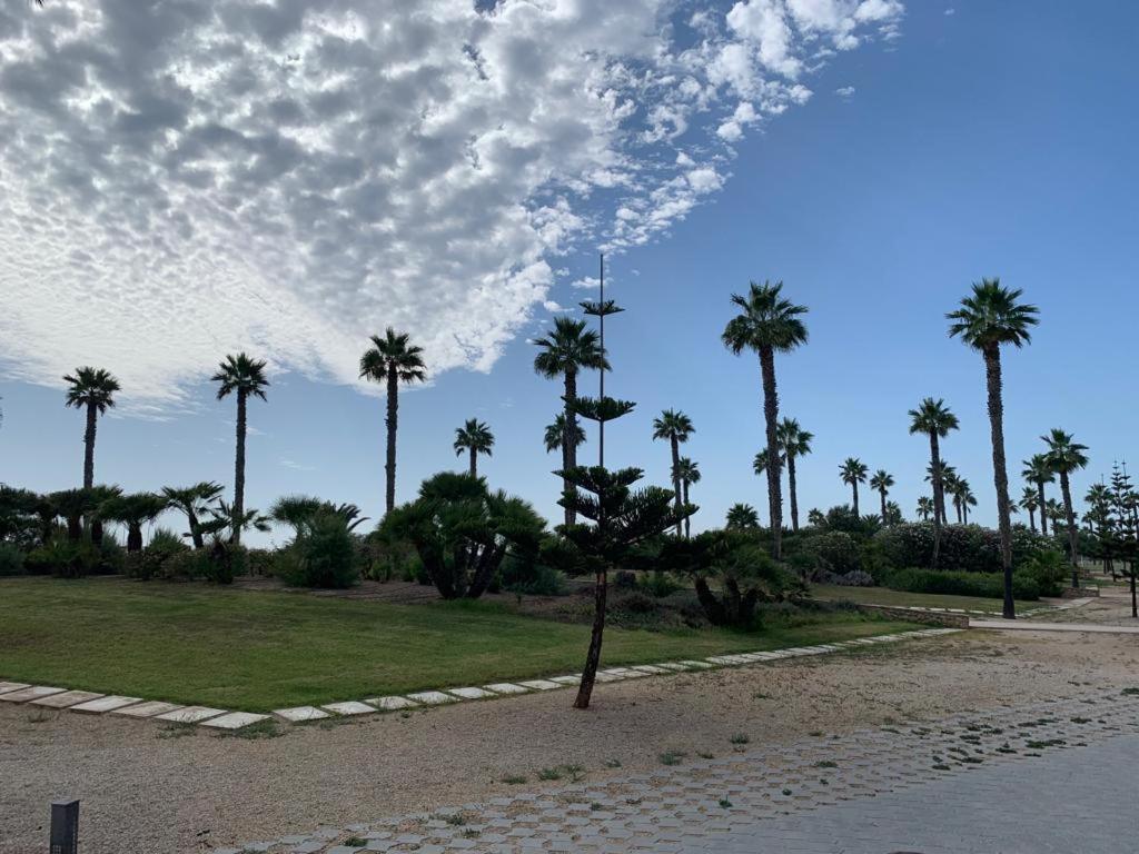 Costa Ballena, 1ª Linea De Playa 3 Dorm Y Parking Dış mekan fotoğraf