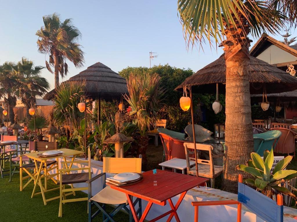 Costa Ballena, 1ª Linea De Playa 3 Dorm Y Parking Dış mekan fotoğraf